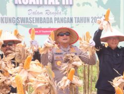 Panen Raya Jagung Serentak Kuartal III Di Sanggau Kapolda Kalbar Ini Bukti Sinergi Kita Semua