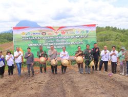 Polres Sintang Gelar Penanaman Jagung Kuartal IV Dukung Program Asta Cita Ketahanan Pangan