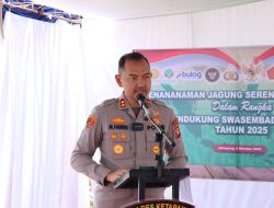 Dukung Swasembada Pangan Polres Ketapang Laksanakan Penanaman Jagung Serentak Kuartal IV Di Kecamatan Muara Pawan