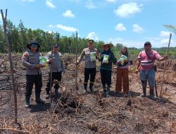 Dukung Swasembada Pangan Nasional Polsek Kuala Behe Bersama Warga Tanam Jagung Di Demplot Polsek