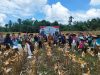Kapolsek Ipda Paskarianto pimpin panen perdana Demplot jagung Polsek Di Desa Tunang