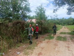 Babinsa Koramil 1202-01/Singkawang Barat Gelar Patroli Cegah Karhutlah