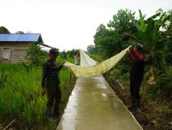 Satgas TMMD ke-126 Kodim 1208/Sambas Antisipasi Hujan Tutup Coran Rabat Beton Dengan Plastik