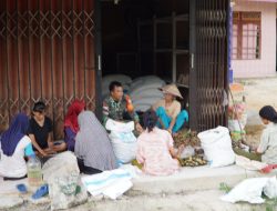 Satgas TMMD Regtas Ke-126 Kodim 1208/Sambas Komsos Bersama Petani Jengkol Di Lokasi TMMD