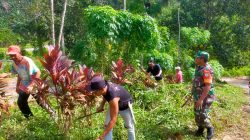 Koramil 1204-17/Nanga Taman Kerja Bakti Sebagai Wujud Kepedulian TNI Terhadap Lingkungan