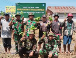 Satgas TMMD Ke-126 Kodim 1207/Pontianak Bersama Warga Melaksanakan Kegiatan Ketahanan Pangan 