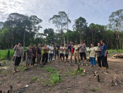 Polsek Kuala Behe Gencar Lakukan Penanaman Jagung Di Desa Wilayah Kecamatan Kuala Behe