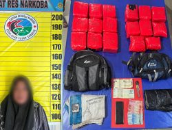 Polres Sanggau Gagalkan Peredaran 18 Kilogram Sabu Di Beduai Satu Wanita Diamankan
