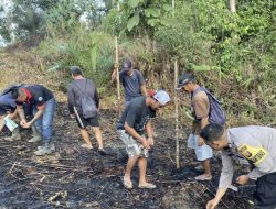 Polsek Kuala Behe Dorong Ketahanan Pangan Melalui Bhabinkamtibmas Tanam Jagung Di Desa Sehe Lusur