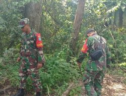 Babinsa Singkawang Selatan Gencarkan Patroli Cegah Karhutlah Di Pangmilang