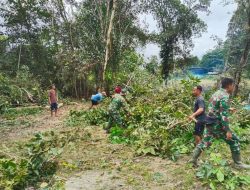 Sinergi TNI-Masyarakat Babinsa Dan Warga Desa Benuis Jemput Bola Koperasi Desa Merah Putih