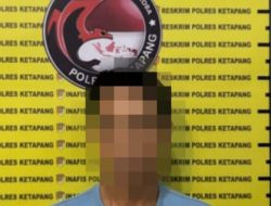 Simpan Sabu Dan Ganja, Pria Di Ketapang Ditangkap Polisi