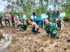 Koramil 08/Paloh Ikuti Penanaman Pohon Mangrove Di Pesisir Dalam Program Pemeliharaan Lingkungan Hidup