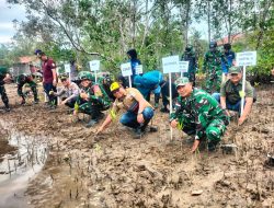 Koramil 08/Paloh Ikuti Penanaman Pohon Mangrove Di Pesisir Dalam Program Pemeliharaan Lingkungan Hidup