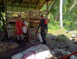 Melalui Komsos Babinsa Semperiuk A Beri Motivasi Dan Dukungan Kepada Peternak Kambing Di Wilayah Binaan