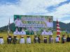 Indonesia Resmi Swasembada Pangan Forkopimda Kalbar Gelar Panen Raya Serentak Bersama Presiden RI Di Mempawah