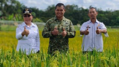 Dandim1204/Sanggau Hadiri Zoom Tasyukuran Swasembada Pangan Tahun 2025 Bersama Wakil Bupati Sanggau