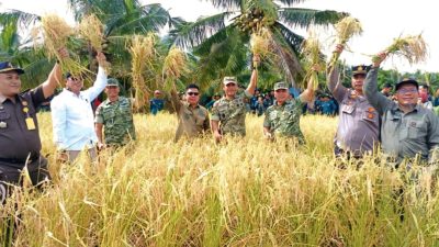 Danrem 121/Abw Hadiri Syukuran Swasembada Pangan Dan Panen Raya Bersama Presiden Dan Menteri Pertanian Republik Indonesia Tahun 2026