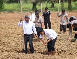 Kapolres Melawi Pimpin Penanaman Jagung Kembali Di Lahan Polres Melawi