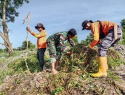 Cegah Banjir Babinsa Roban Pimpin Kerja Bakti Pembersihan Sungai
