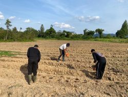 Polres Melawi Siapkan Lahan Siap Tanam