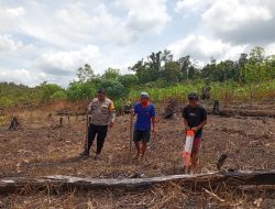 Bhabinkamtibmas Polsek Nanga Tayap Laksanakan Penanaman Jagung Hibrida Di Desa Pangkalan Teluk