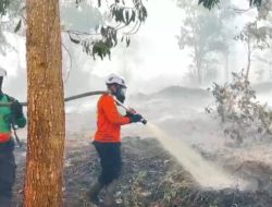 Tim Siaga Karhutla Temukan Titik Api Di Arang Limbung Dekat Bandara Supadio