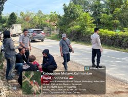 Aksi Humanis Polwan Polres Melawi Brigpol Novi Supriyanti Sigap Gendong Korban Laka Ke Puskesmas