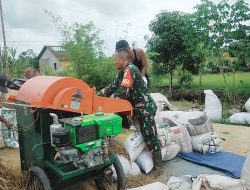 Babinsa Koramil 02/Sejangkung Bantu Warga Rontokkan Padi Hasil Panen