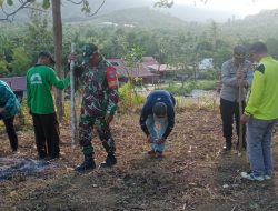 Dukung Ketahanan Pangan Nasional Danramil 05/Pemangkat Hadiri Penanaman Jagung Kuartal III
