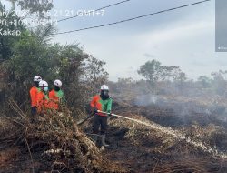 Meski Hujan TurunTim Siaga Karhutla Masih Temukan Titik Asap Di Kubu Raya