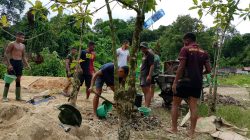 Rantai Gotong Royong Satgas Jembatan Kodim 1206/Psb Bersama Masyarakat Desa Nanga Sebintang Kalis