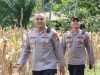 Kapolres Melawi Pimpin Panen Jagung Hibrida Bersama Poktan Karunia Tani II Di Desa Batu Ampar