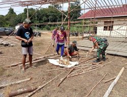 Bentuk Kepedulian Babinsa Koramil Batang Lupar Bantu Warga Dirikan Tenda Acara Pernikahan