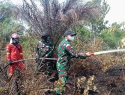 Dandim 1209/Bengkayang Terjun Langsung Padamkan Api Karhutla
