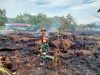 Cegah Kebakaran Meluas Anggota Koramil 1208-06/Selakau Turun  Padamkan Api