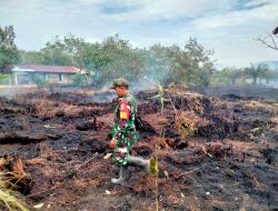Cegah Kebakaran Meluas Anggota Koramil 1208-06/Selakau Turun  Padamkan Api