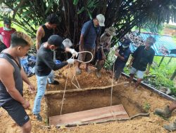 Layanan 110 Jadi Jembatan Harapan Kisah Haru Keluarga Terpisah Jarak Dari Flores Ke Ambalau Sintang