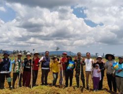 Dukung Hanpangan Babinsa Sungai Bening Dampingi Gapoktan Bemban Tanam Padi