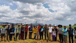 Babinsa Sungai Bening Terjun Langsung Kawal Tanam Padi Di Sajingan Besar