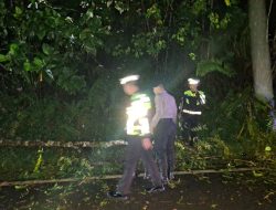 Respons Cepat Polisi Pohon Tumbang Di Jalur Sintang–Nanga Pinoh Berhasil Dievakuasi