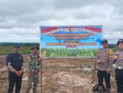 Koramil 1206-04/Badau Perkuat Ketahanan Pangan Melalui Pendampingan Petani Jagung 