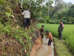 Babinsa Koramil 1206-14/Hulu Gurung Bersama Masyarakat Gotong Royong Bersihkan Aliran Parit
