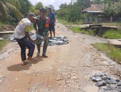 Babinsa Desa Ratu Sepudak Bersama Warga Gotong Royong Timbun Jalan Berlubang