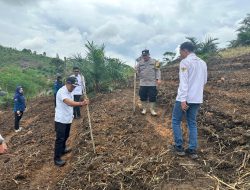 Polsek Nanga Pinoh Dukung Ketahanan Pangan Melalui Penanaman Jagung Hibrida Di Nanga Kelawai