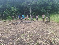 Polsek Nanga Pinoh Laksanakan Penanaman Jagung Hibrida di Sungai Pinang Dukung Ketahanan Pangan Nasional