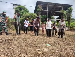 Polsek Sokan Gelar Penanaman Serentak Jagung Hibrida Dukung Ketahanan Pangan Di Melawi
