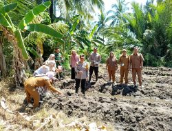 Kapolsek Matan Hilir Selatan Pimpin Penanaman Jagung Hibrida Untuk Dukung Ketahanan Pangan Nasional