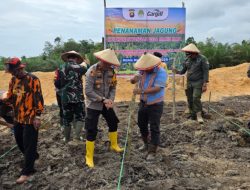 Sukseskan Program Ketahanan Pangan Polsek Manis Mata Bersama Forkopimcam Tanah Jagung Hibrida Di Desa Manis Mata