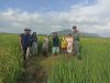 Babinsa Parit Baru Komsos Bersama Petani, Dukung Ketahanan Pangan Wilayah